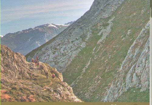 El Barrancón Camino del Salvador (Villamanín-León)