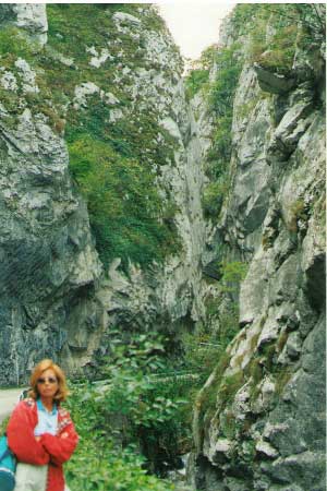 Foces/Hoces de Rioaller/Río Aller (Asturias)