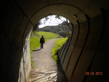 Tunel