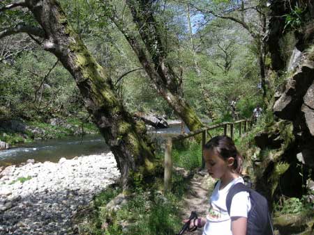 Hoces del Esva (Asturias)