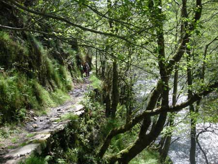Hoces del Esva (Vald&eacute;s-Asturias)