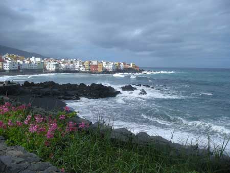 Costa de el Puerto de la Cruz a Punta Brava (Tenerife)