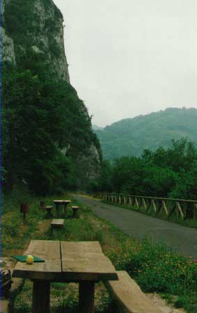 Senda Oviedo-Fuso de la Reina. Área de descanso (Asturias)