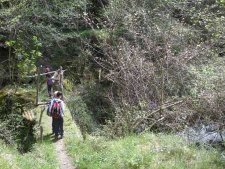 Puente Cureñu (Ponga-Asturias)