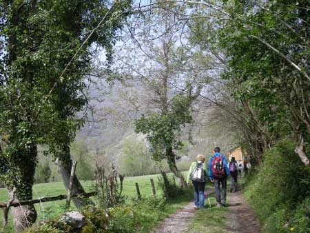 Prados de Sellaño (Ponga-Asturias)