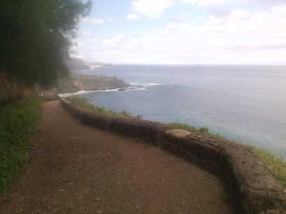 Senda por la Rambla de Castro (Los Realejos-Tenerife)