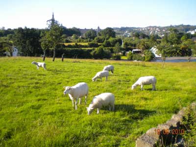 Campiña de Gijón (Asturias)
